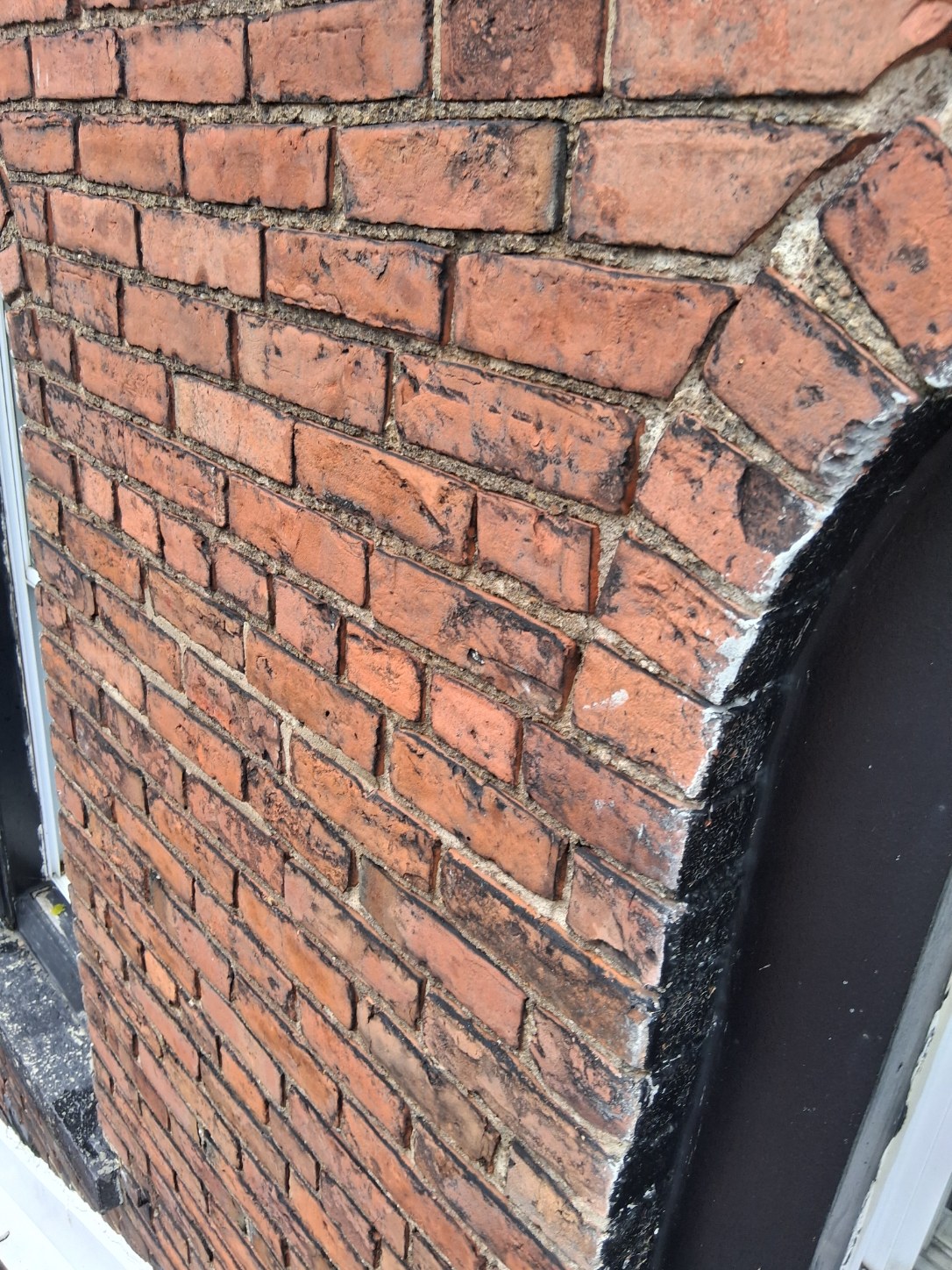 Exterior cleaning project