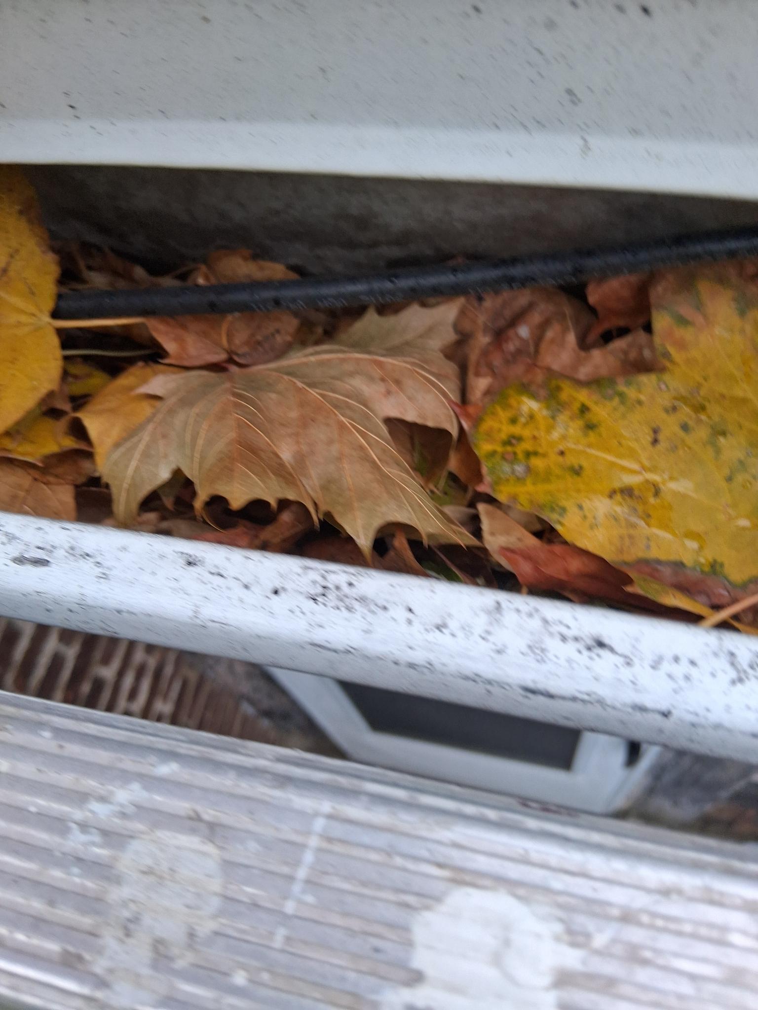 Exterior cleaning project
