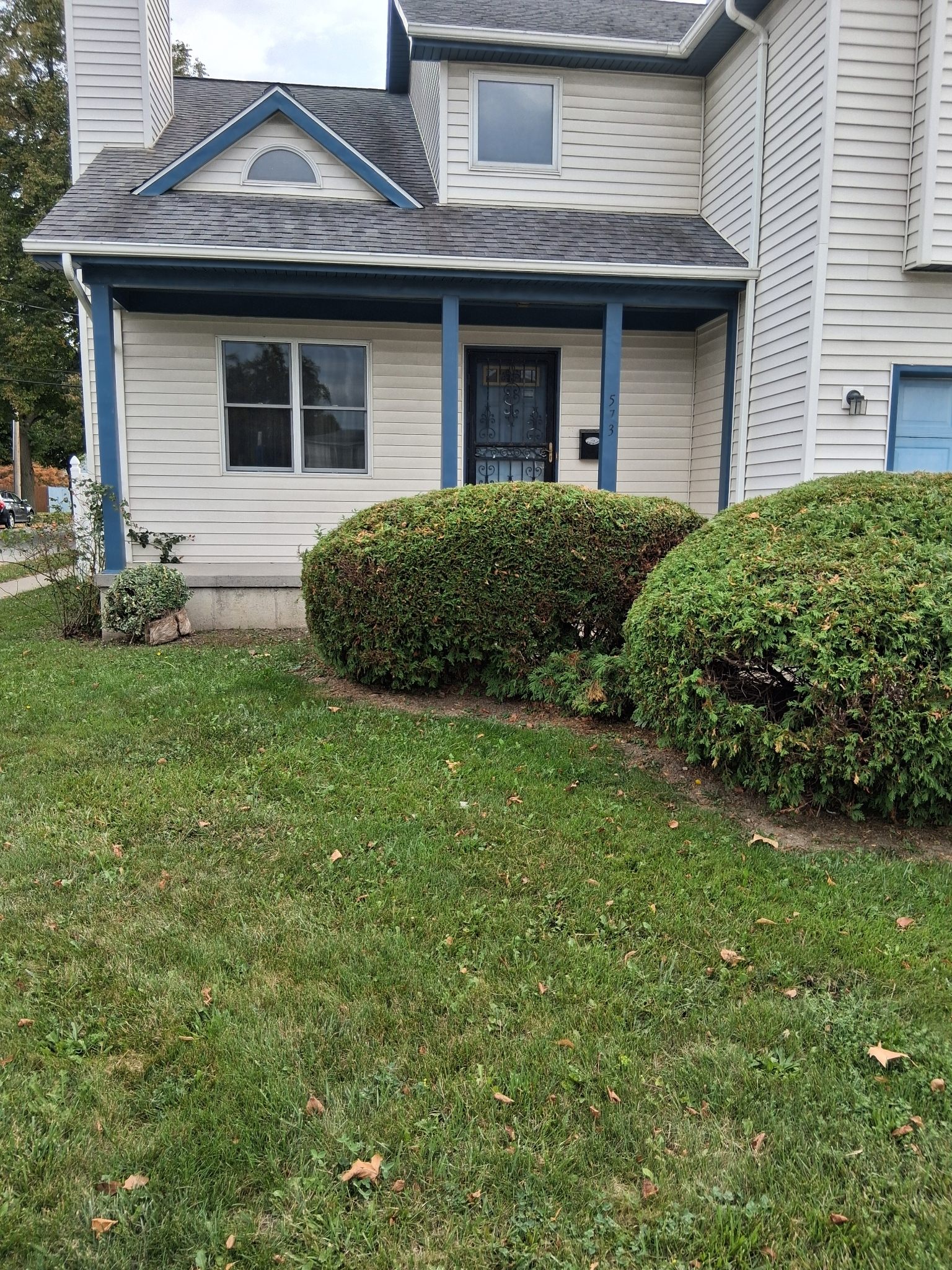 Exterior cleaning project