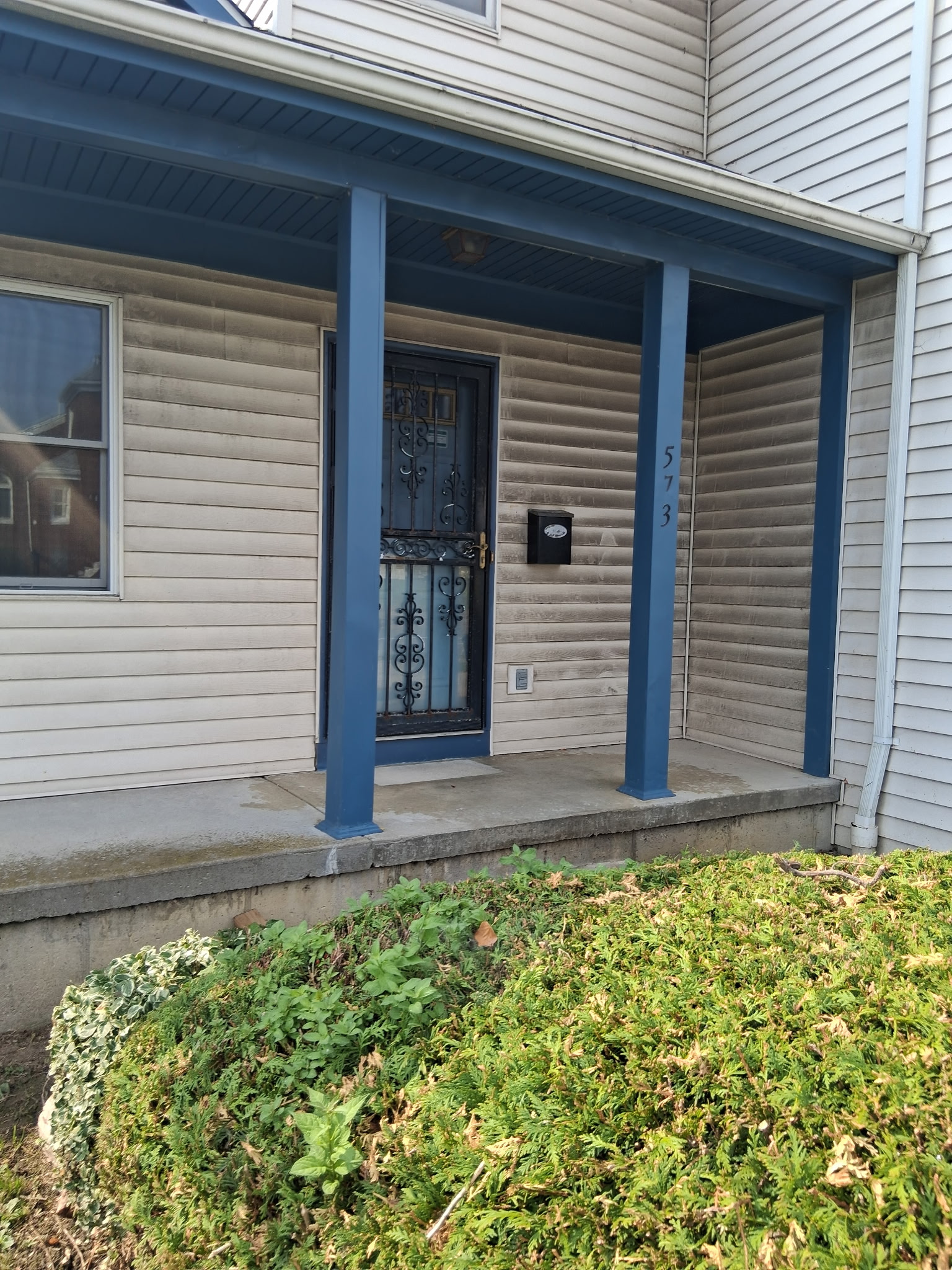 Exterior cleaning project