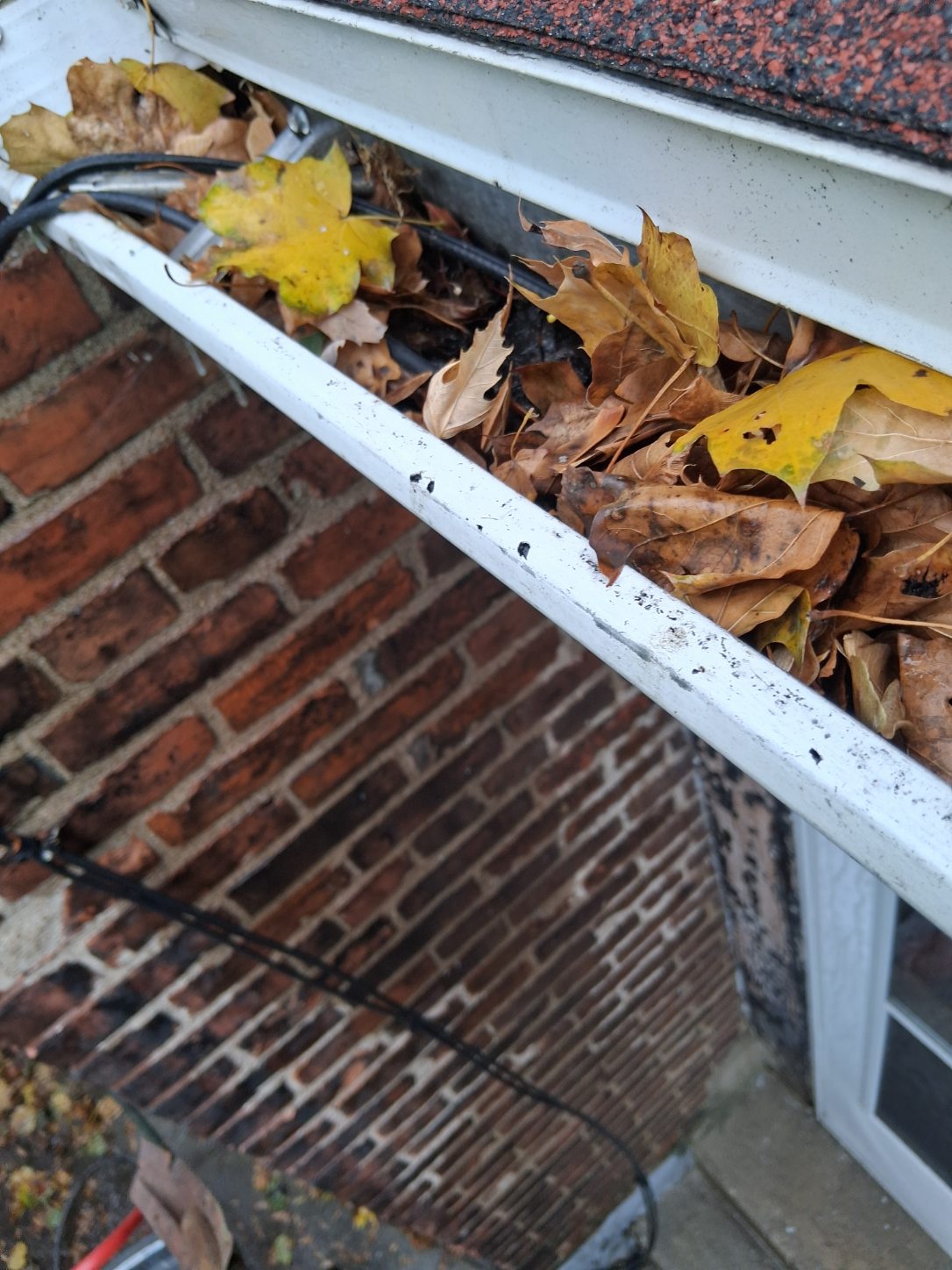 Exterior cleaning project