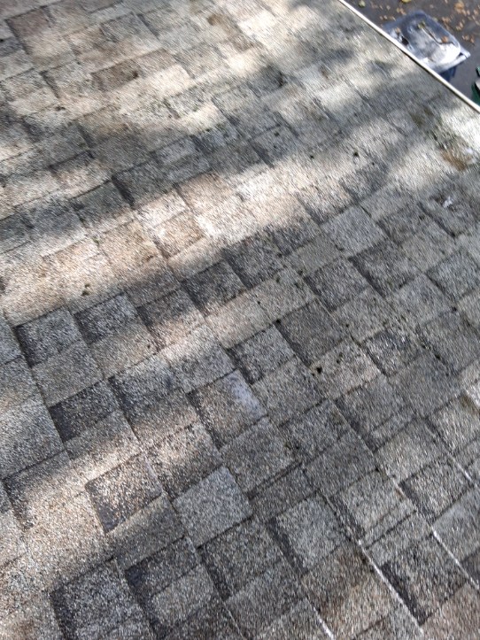 Exterior cleaning project