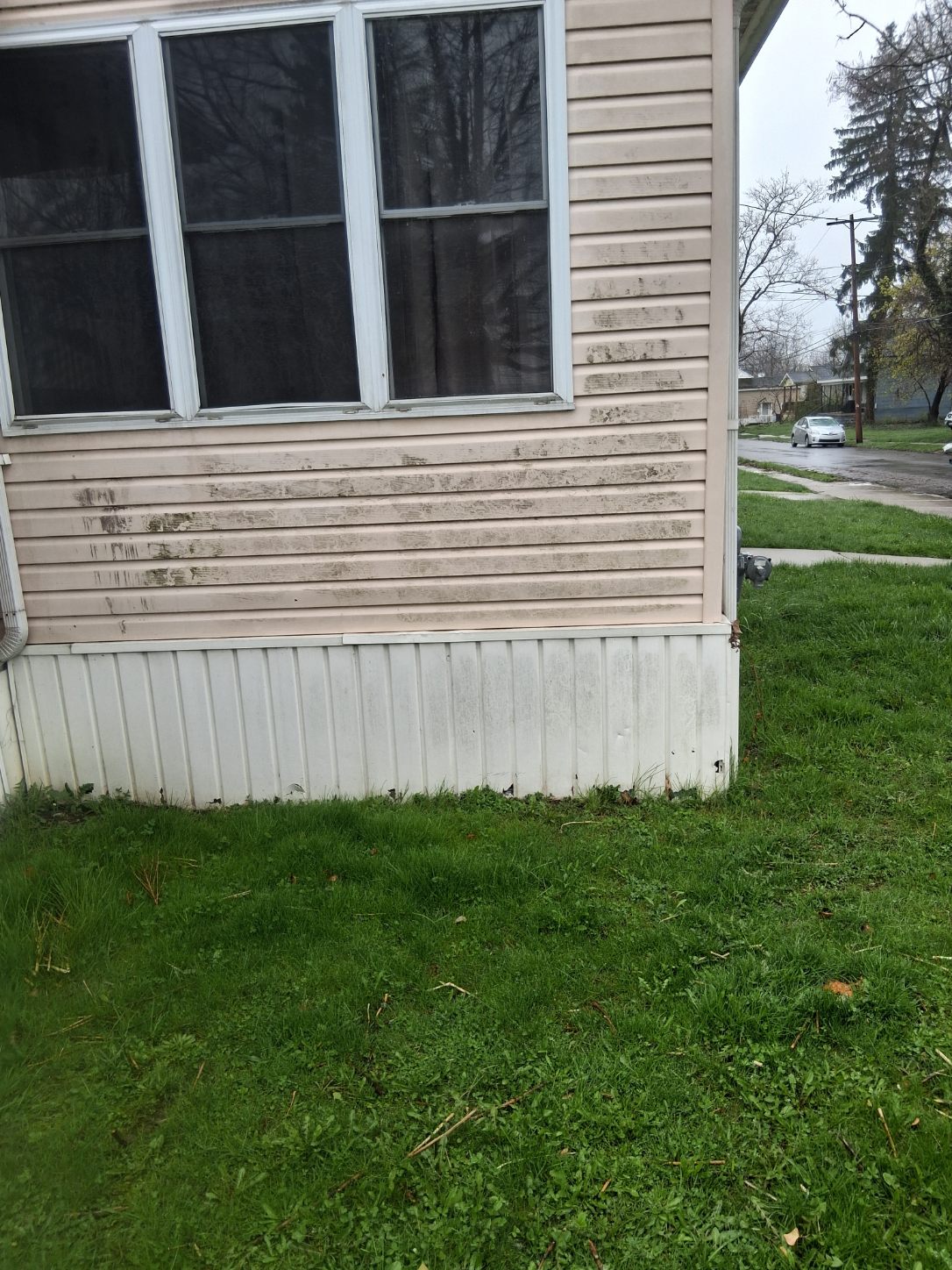 Exterior cleaning project