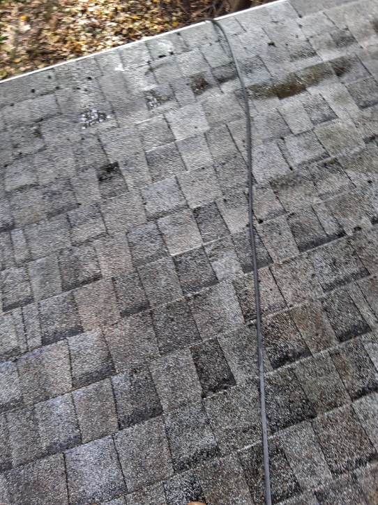 Exterior cleaning project