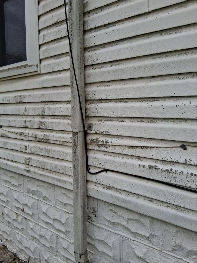 Exterior cleaning project