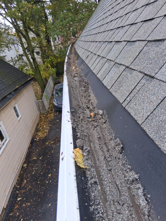 Exterior cleaning project