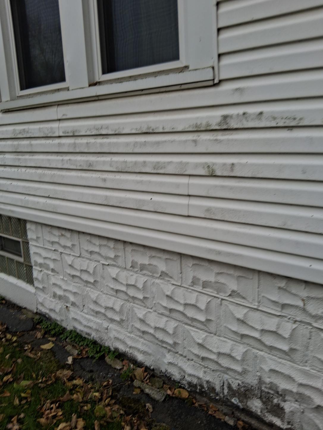 Exterior cleaning project
